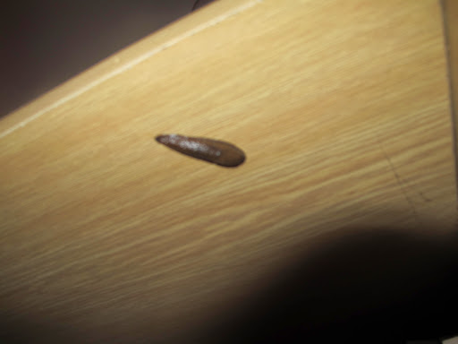 Album image copied from https://lh3.googleusercontent.com/CbgOn-fvGiuhluuHIXQXO9nMulWuZnDA34rV64YUY681R46GLUS59iJi5r_pzwpUTRicZPVG70I