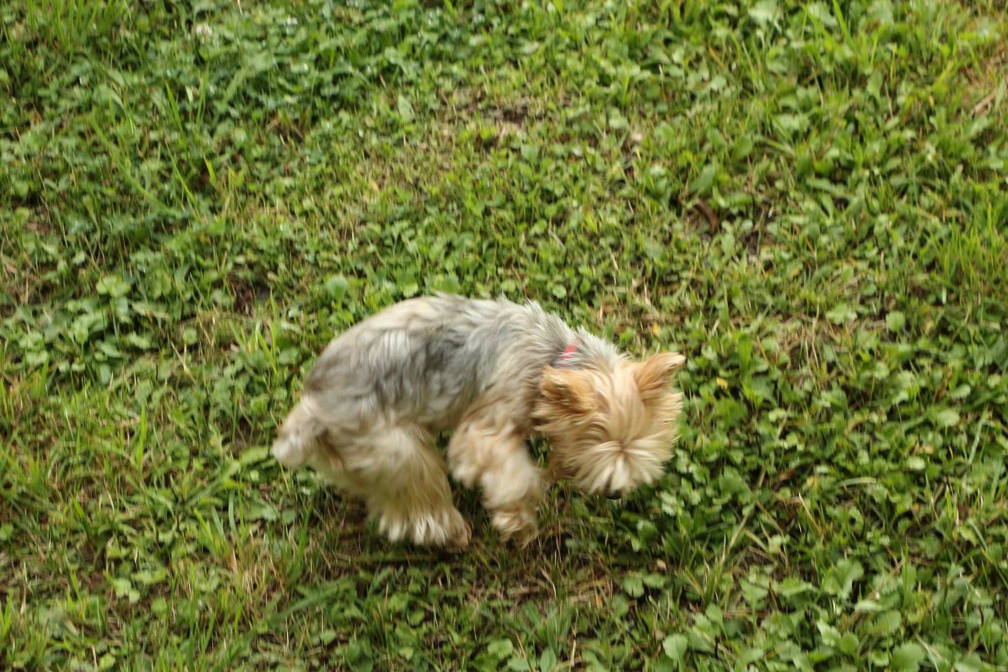 Album image copied from https://lh3.googleusercontent.com/-B5egMBJc1GI/VHdvAatAlAI/AAAAAAAAZtw/E0Ud6kS_Uf0IDBKfjoqI-3JCO0pQY8RHgCLABGAYYCw/s0-U-I/IMG_3824.JPG