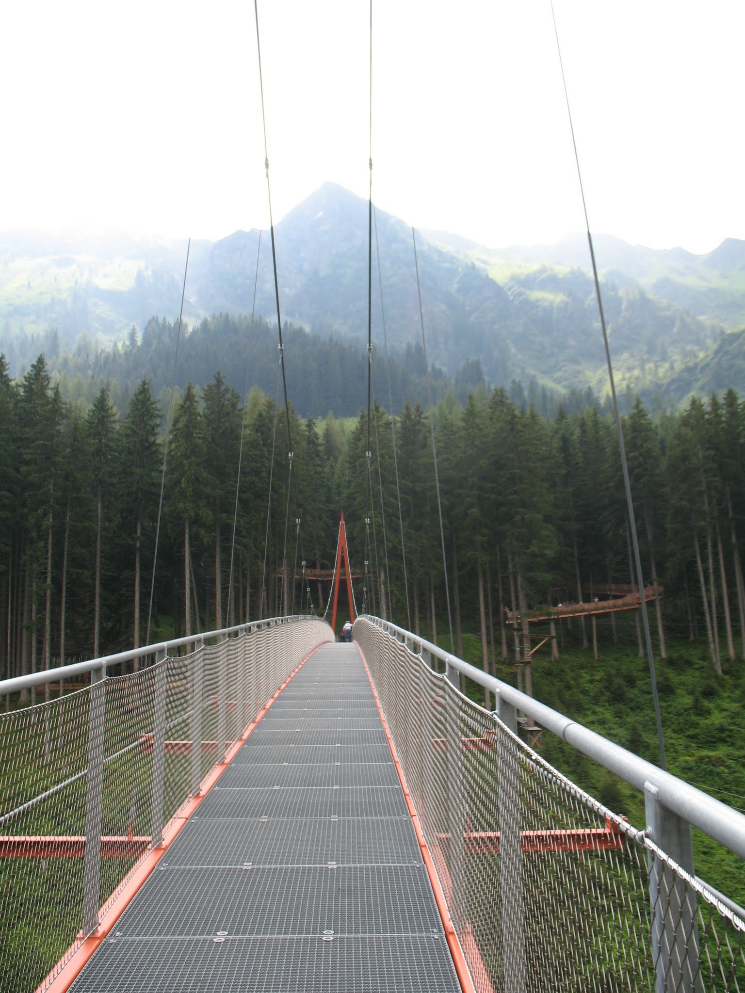 Album image copied from https://lh3.googleusercontent.com/-iMQnoI5lx4E/UB7VP8cjTeI/AAAAAAAC3MI/nAe8OCttU-Ehza1KYykGyI-E9-wWDq6KACLABGAYYCw/s0-U-I/IMG_4946.JPG