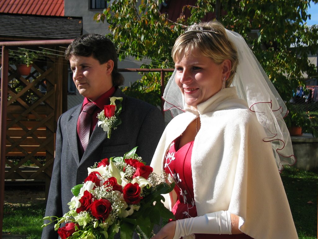 Album image copied from https://lh3.googleusercontent.com/-PmmvL-U4YOc/SjFZSeHg30I/AAAAAAAACR4/GhwIR82j2-gHP_rSBh6IxaOuWwSS-uaAACLABGAYYCw/s0-U-I/IMG_5653.JPG