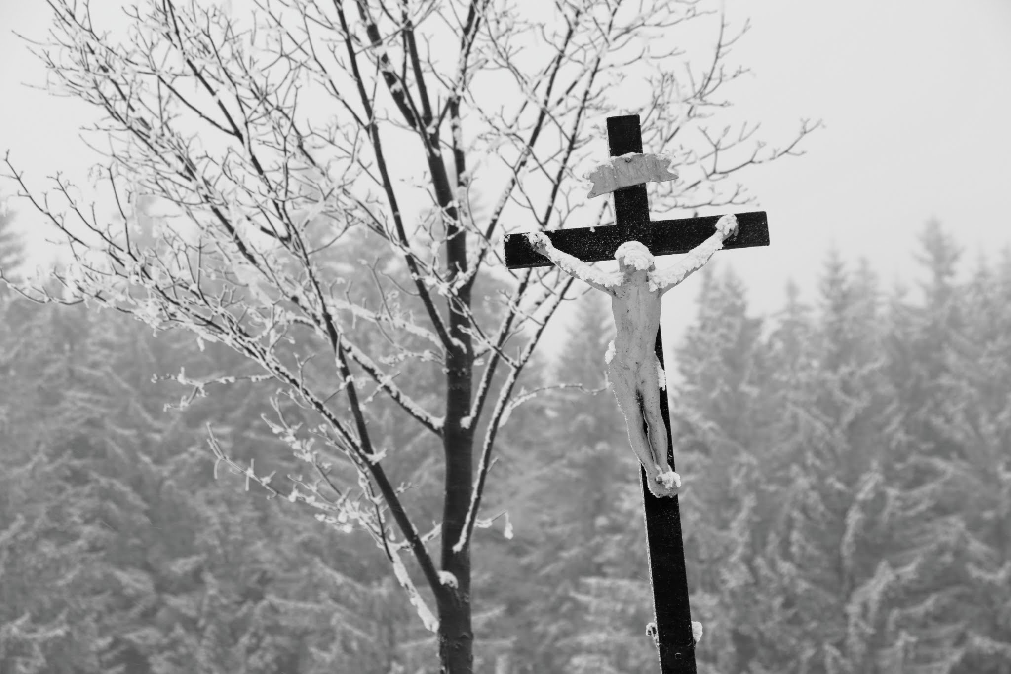 Album image copied from https://lh3.googleusercontent.com/-SvoHH96G1eI/VMwUEJrXciI/AAAAAAAAchw/k4glVcZLH0EJY0IkqwXXsCMxQscjDA-iACLABGAYYCw/s0-U-I/IMG_9123.JPG