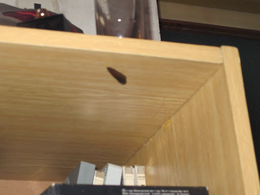Album image copied from https://lh3.googleusercontent.com/wAAbDNzV9DGVdgGyYj11zVvcjjjJhpsr6JG1C2Do3KGVEQOf0YD5KxnCkF983wZqcDjeLvCj_74